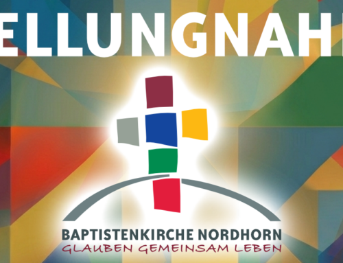 Stellungnahme zum AfD-„Regierungsprogramm“